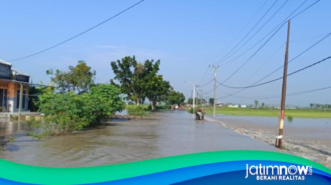 Desa Kecamatan Di Gresik Kebanjiran Gegara Kali Lamong Meluap