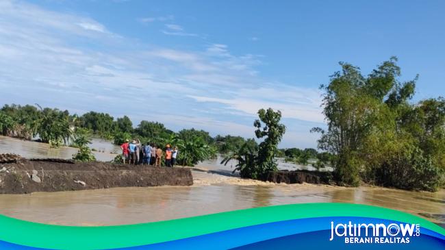 Ha Tambak Di Lamongan Terendam Banjir Imbas Tanggul Kali Plalangan