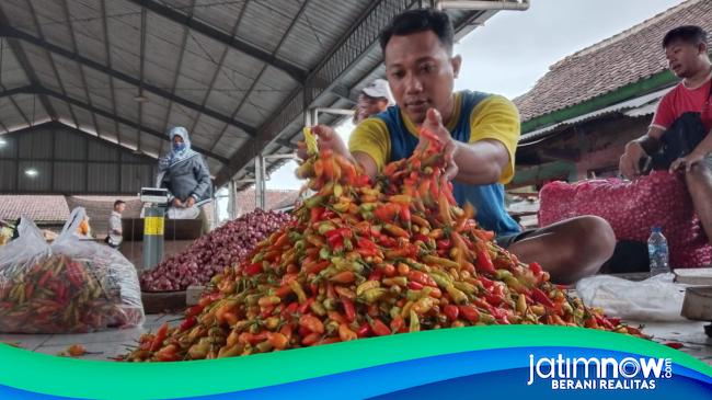 Pasokan Berkurang Harga Cabai Di Tulungagung Meroket