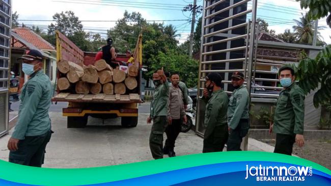 Gudang Penyimpanan Kayu Jati Diduga Ilegal Di Banyuwangi Digerebek