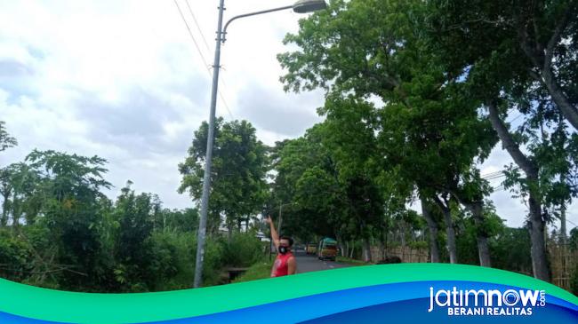 8 Solar Cell Lampu PJU Di Jalan Raya Purwoharjo Banyuwangi Raib