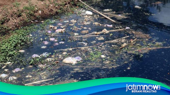 DLH Ambil Sampel Air Sungai Mungkungan Ponorogo Yang Hitam Dan Bau