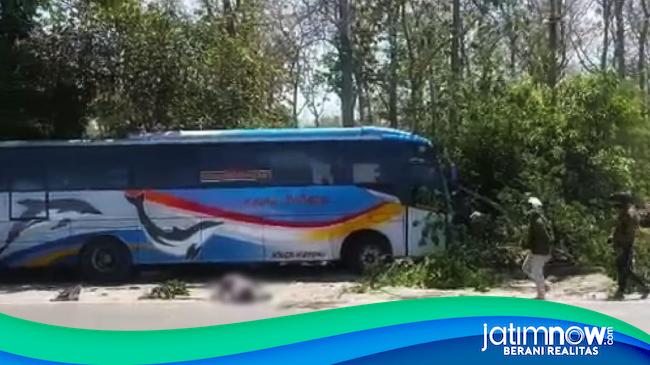 Bus Sugeng Rahayu Terlibat Kecelakaan Beruntun Di Madiun Satu Orang Tewas