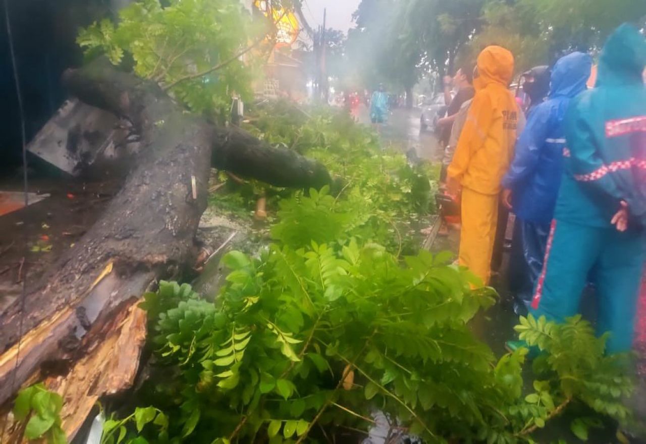 Pohon Tumbang Dan Rumah Tergenang Air Akibat Hujan Angin Di Surabaya