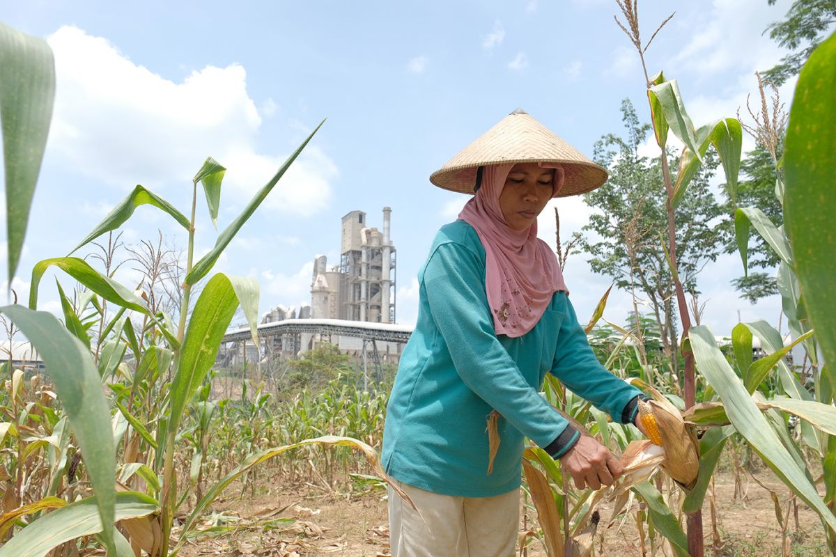 Sig Fasilitasi Petani Garap Lahan Hektare Di Rembang