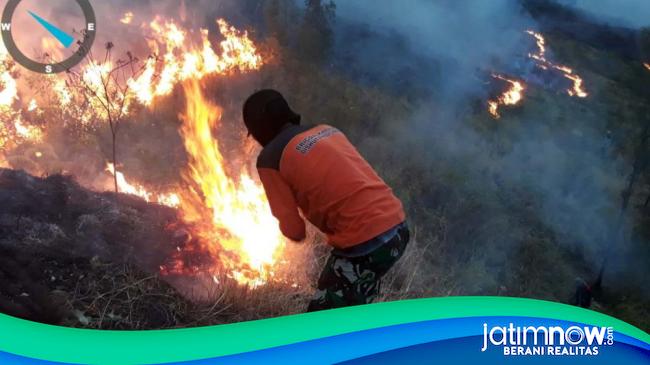 Gunung Arjuno Kembali Terbakar Titik Api Muncul Di Blok Curah Seriti