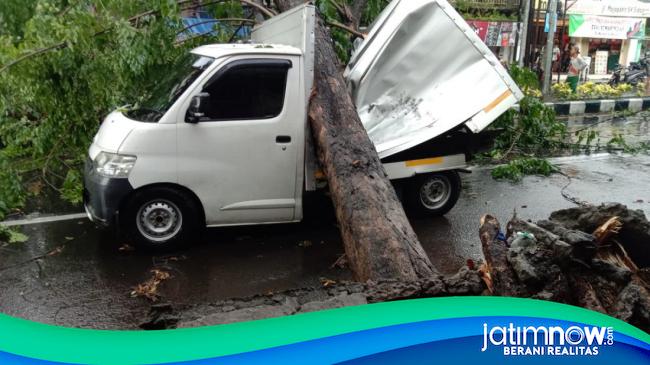 Hujan Diserta Angin Kencang Di Sidoarjo, Pohon Bertumbangan Timpa Mobil ...