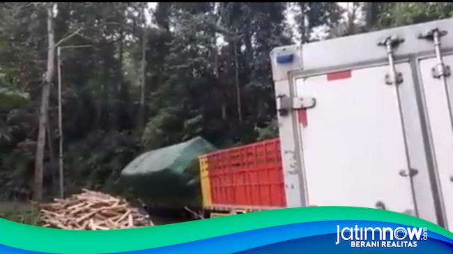 Truk Bermuatan Kayu Kembali Terguling Di Raya Gumitir Jember 2216