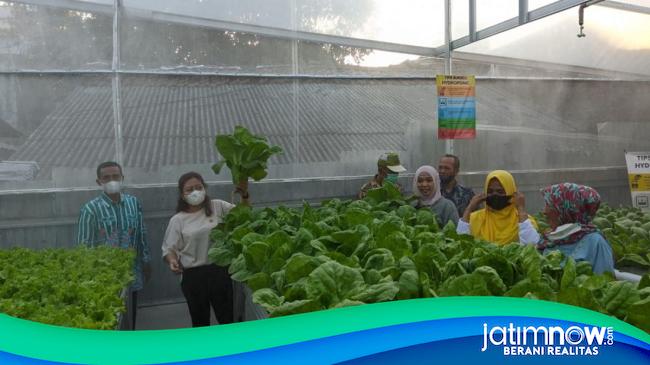 Politisi PDI Perjuangan: Urban Farming Solusi Ketahanan Pangan Warga ...