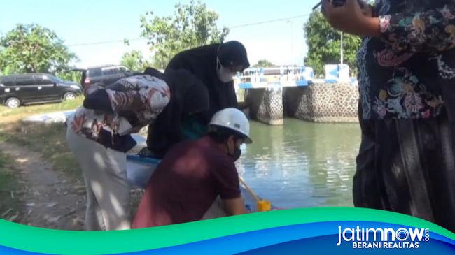 Air Sungai Desa Tanggalrejo Berwarna Merah Ini Penjelasan Dlh Jombang