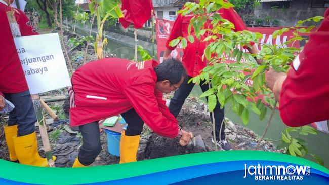 Pdi Perjuangan Surabaya Gerakkan Penghijauan Untuk Rawat Kehidupan