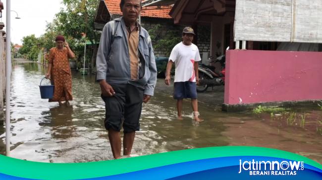 Banjir Di Lamongan Rendam Ratusan Rumah Dan Tambak, Kerugian Ditaksir ...