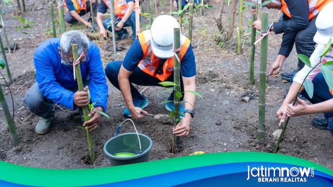 Cara Tps Jaga Ekosistem Pesisir Pantai Budidaya Mangrove