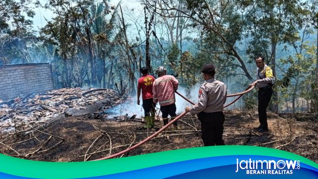 Si Jago Merah Lalap Habis Rumah Nenek Katijem Di Pacitan