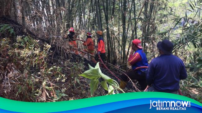 Karhutla Kembali Terjadi Di Kota Batu Diduga Akibat Kelalaian Manusia