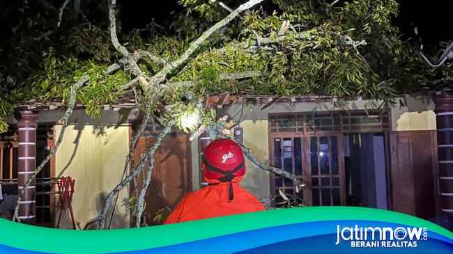 Ponorogo Diguyur Hujan Tiada Henti, Pohon Tumbang Hingga Longsor