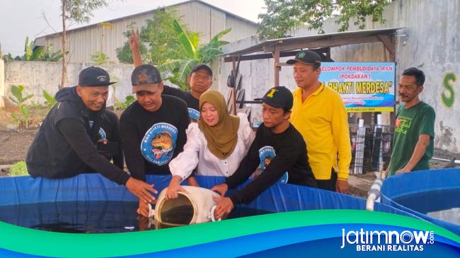 Budi Daya Ikan Jadi Cara Desa Banjarkemantren Sidoarjo Berdayakan Warga