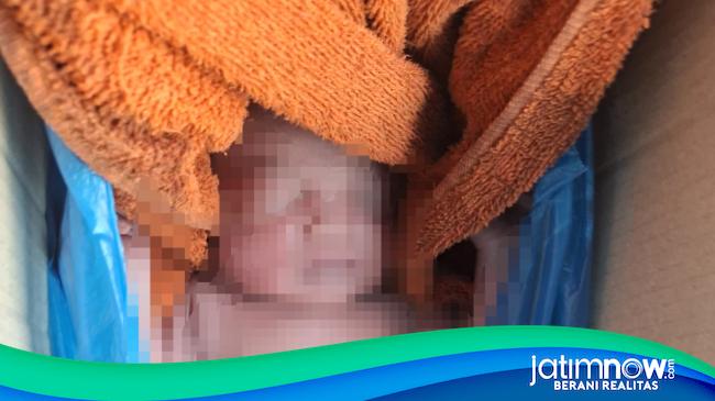 Temuan Bayi Dalam Kardus di Lamongan Gegerkan Warga