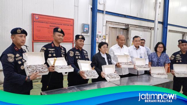 Segel 144 Ton Udang Vaname, KKP Telusuri Aktivitas Impor BMI Lamongan