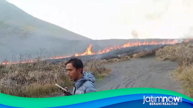 Kawasan TNBTS Bromo Terbakar, Api Merembet ke Bukit Teletubies