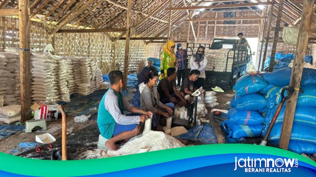 Baru 6,6 Persen, Lamongan Kejar Target Produksi Garam 20.000 Ton di Puncak Musim