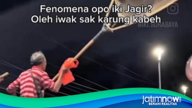 Fosfat Tembus 6 Kali Lipat Baku Mutu, Ikan di Sungai Jagir Surabaya Mati