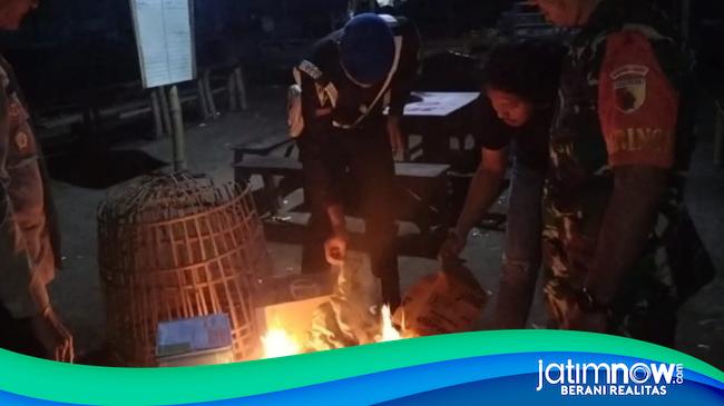 Gerebek Judi Sabung Ayam, Polisi Tulungagung Bakar Perlengkapannya
