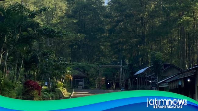 Karhutla, Akses Pendakian Gunung Wilis Via Tulungagung Ditutup
