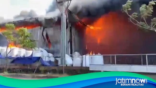 Kerugian Kebakaran Pabrik Pengolahan Kayu di Lamongan Ditaksir Rp10 Miliar