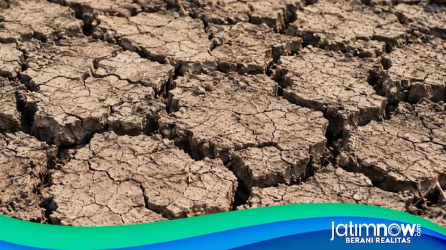 13 Desa di Ponorogo Terancam Kekeringan