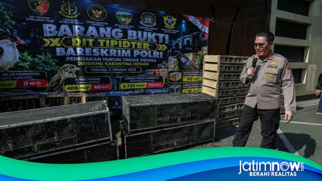 Bareskrim Ungkap Penyelundupan Burung Ilegal di Sidoarjo, 2 WN Vietnam Diamankan