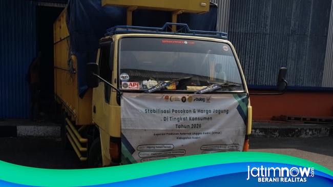 Bulog Kediri Salurkan 12.941 Ton Jagung SPHP untuk Penuhi Kebutuhan Peternak