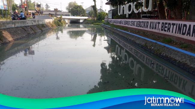 Sungai Rejoso Jombang Memutih dan Berbau, Ribuan Santri Terganggu