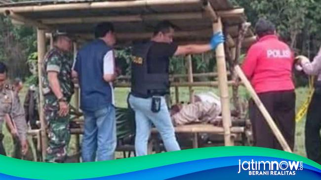 Pria Misterius Gantung Diri Di Gubuk Sawah