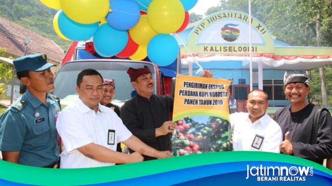 378 Ton Kopi Robusta Banyuwangi Diekspor Ke Italia Hingga Inggris