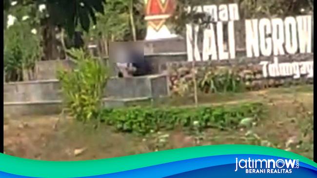 Beredar Video Pasangan Mesum Di Taman Ngrowo Tulungagung 