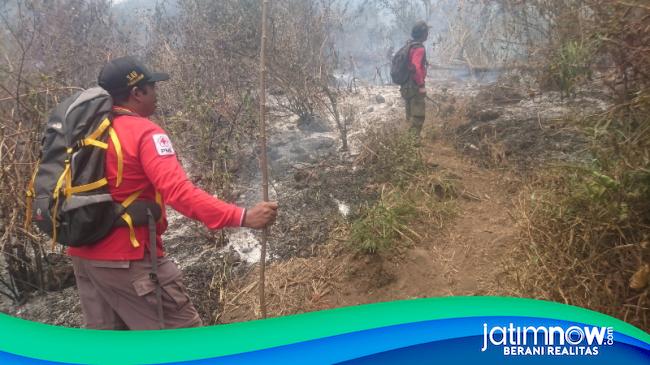 Kebakaran Hutan Di Gunung Penanggungan Juga Bakar Situs Purbakala