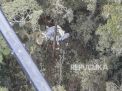 Pesawat Rimbun Air Jatuh di Papua, Tiga Kru Ditemukan Meninggal