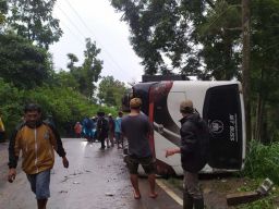 Bus Mini Terguling di Jalur Cangar Mojokerto, Satu Orang Meninggal