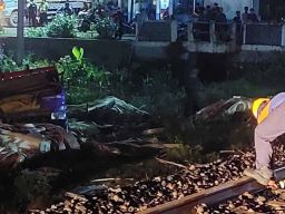 Truk Muat Kayu Lapis Tabrak KA Mutiara Selatan, 3 Perjalanan Kereta Terlambat