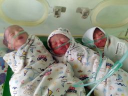 Bayi kembar tiga yang lahir selamat di Ponorogo. (Foto: Istimewa)