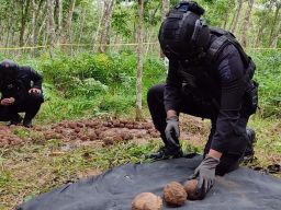 Tim Gegana Polda Jatim melakukan disposal benda mirip granat di Banyuwangi (Foto: Rony Subhan/jatimnow.com)