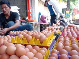 Harga Telur di Ponorogo Tembus Rp27.000 Per Kg, Pedagang Menduga karena Bansos