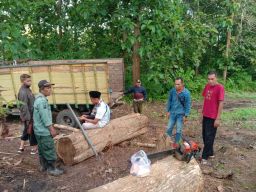 Perhutani menyita truk dan kayu jati hasil pembalakan di Banyuwangi