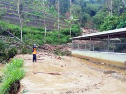 214 Bencana Terjadi di Ponorogo Sepanjang 2021, Longsor dan Banjir Mendominasi