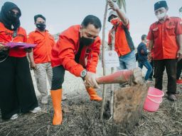Tanam Pohon di Bantaran Sungai, PDI Perjuangan Surabaya Doakan Megawati