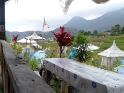 Gubuk Weringin Trawas di Kampung Brenjonk, Desa Penanggungan, Mojokerto. (Foto-foto: Safrial Anggra/jatimnow.com)