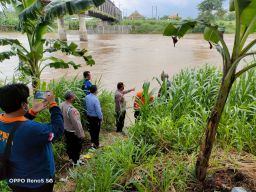 Pria Difabel Terlihat di Atas Kayu Terhanyut Arus Sungai Brantas Mojokerto