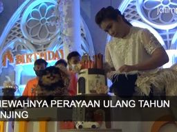 Video: Mewahnya Perayaan Ulang Tahun Anjing di Surabaya