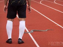 Seekor ular muncul di tengah lapangan saat gelaran internal game di Gejos. (Foto: Sahlul Fahmi/jatimnow.com)